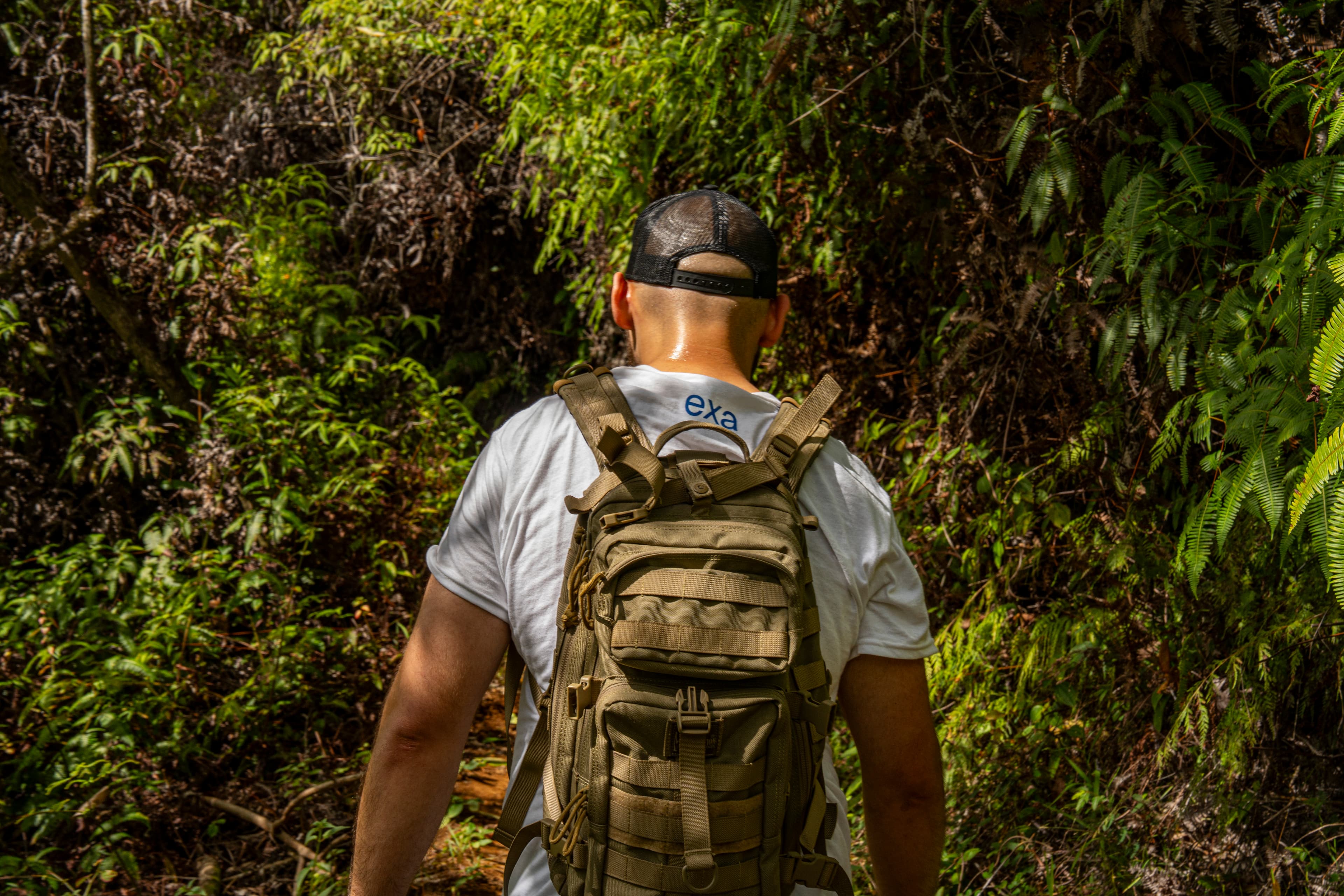 Jungle Trails, Hawaii