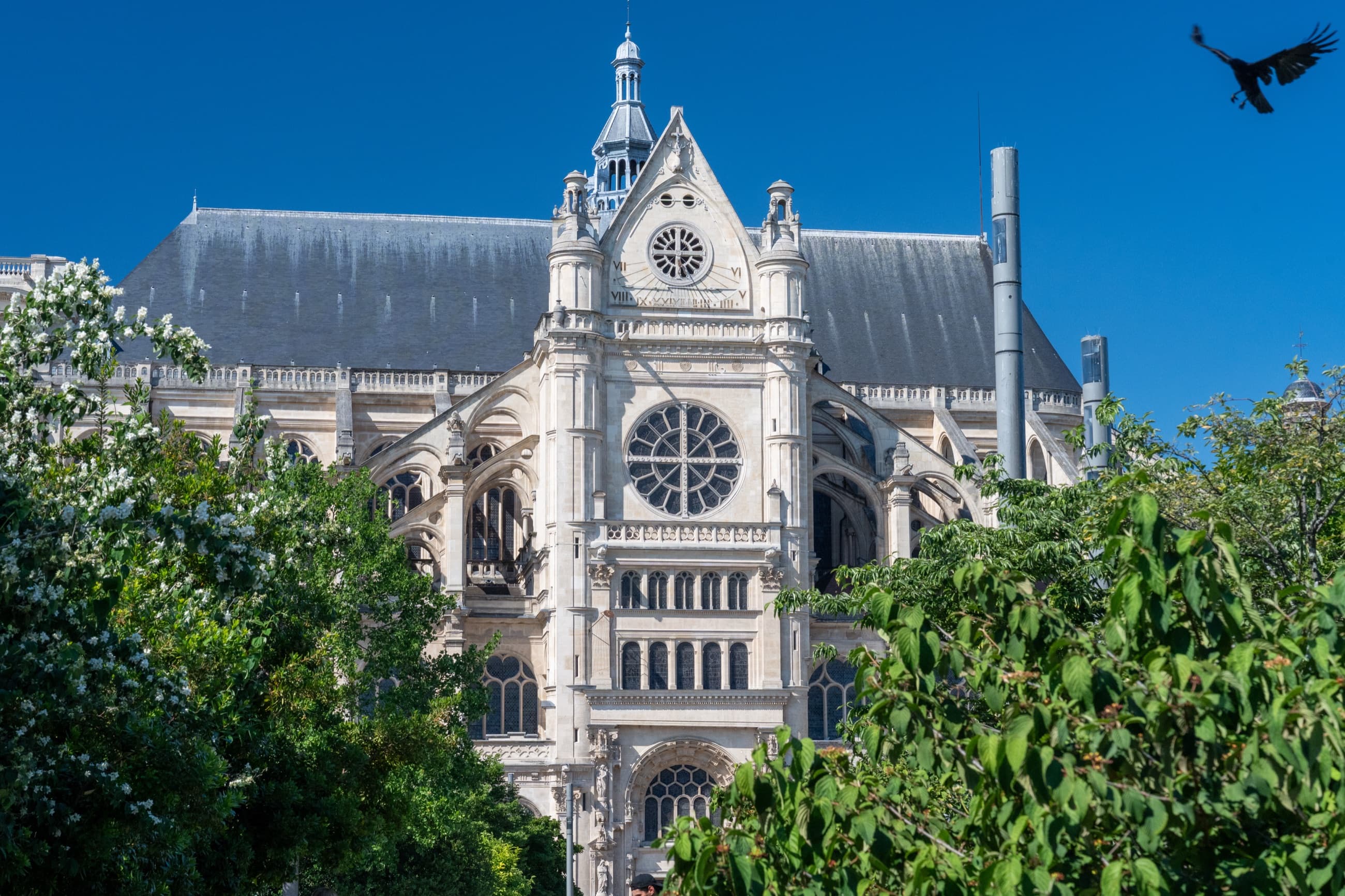 Bird over Saint-Eustache in Paris