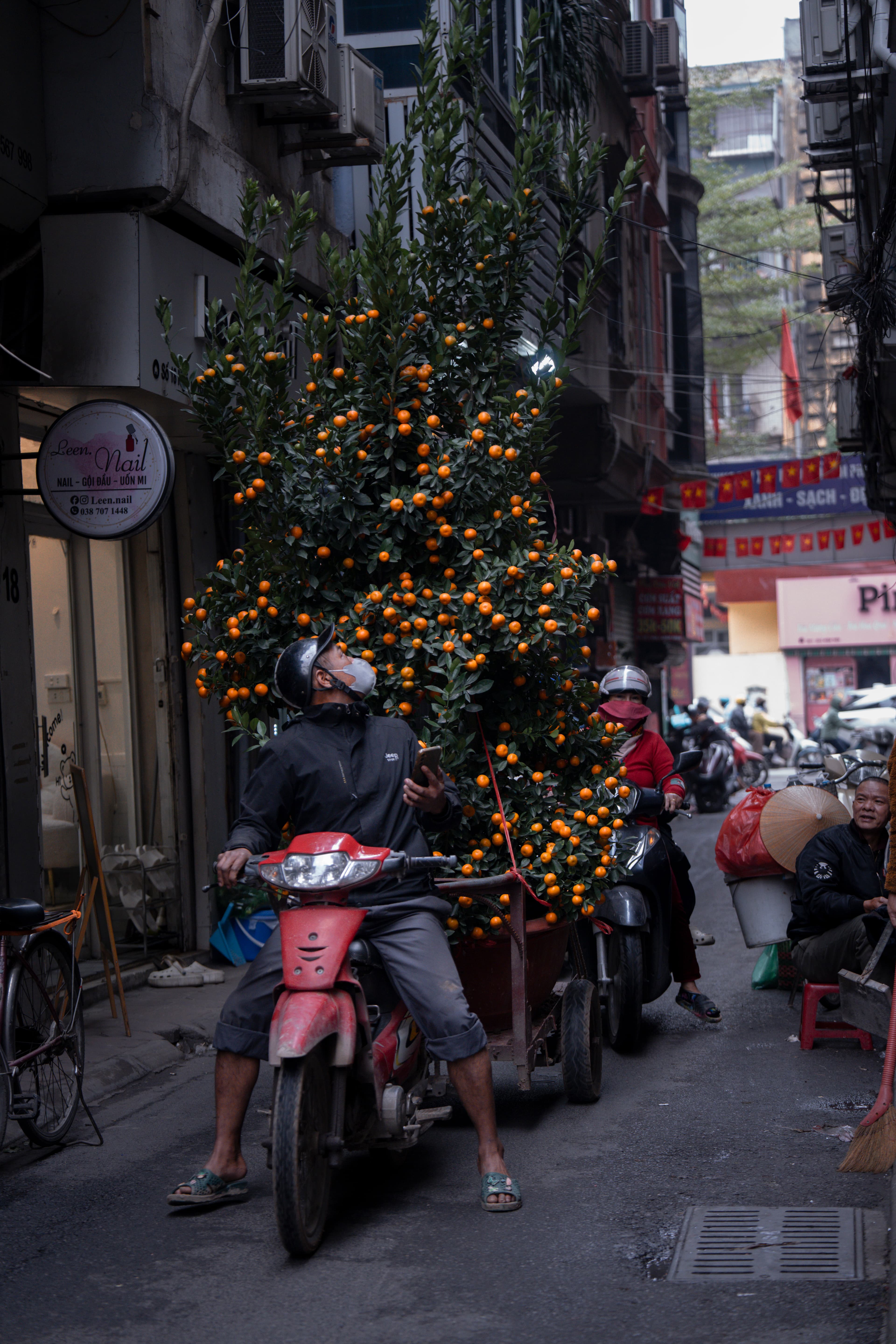 Kumquat Delivery, Hanoi